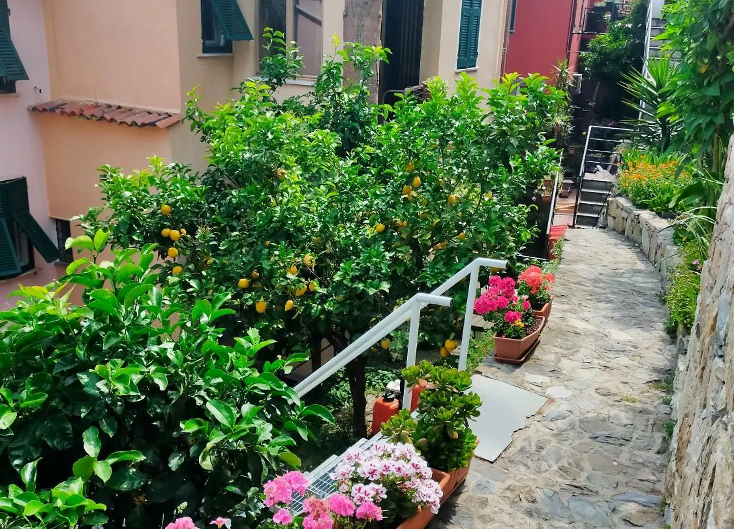 Affittacamere Fiorella Riomaggiore Italia