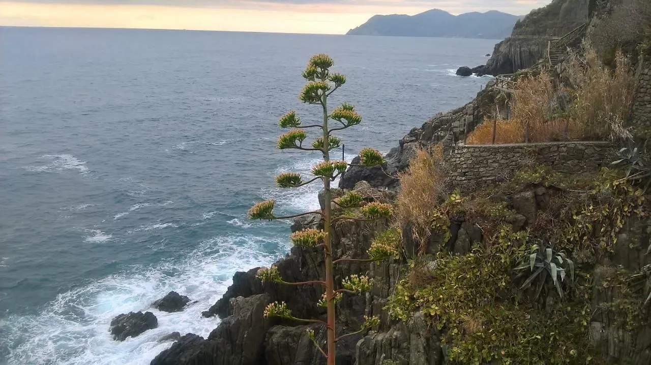 Affittacamere Fiorella Riomaggiore Italia